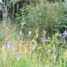 images/Schweden/Schweden 2009/IMG_4394.jpg